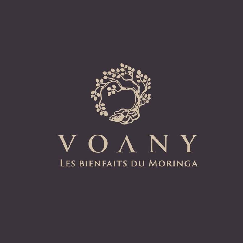 Thiết kế logo cổ điển cho Voany