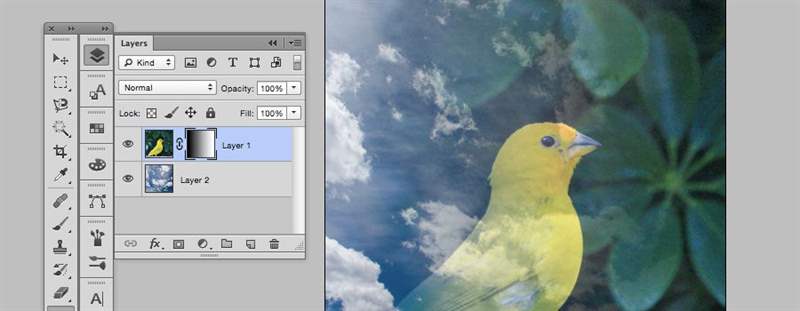 photoshop layer mask trong suốt