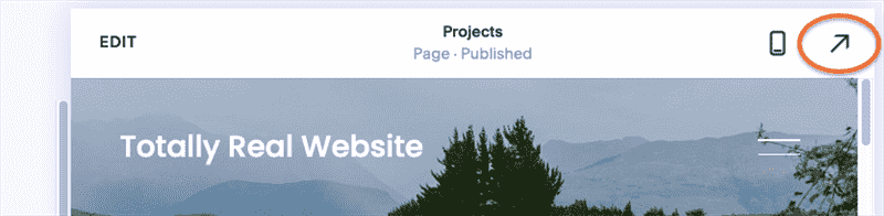 Cách tạo ảnh chụp màn hình trang web Squarespace