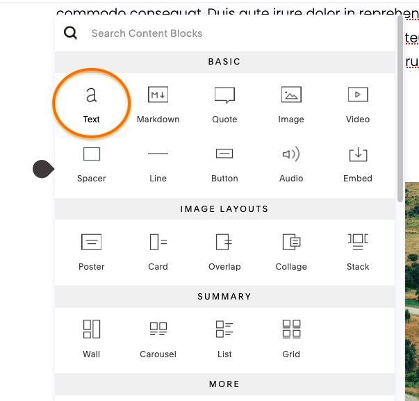 Cách tạo ảnh chụp màn hình trang web Squarespace