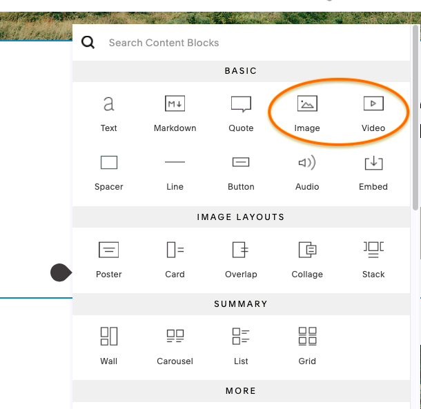 Cách tạo ảnh chụp màn hình trang web Squarespace