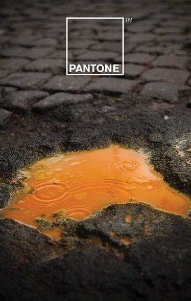10 Quảng cáo In Thành công - Pantone