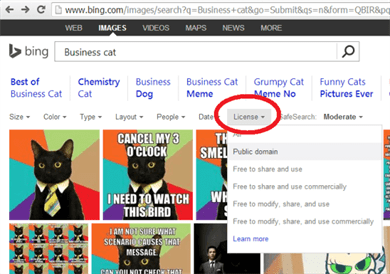 Tìm kiếm hình ảnh trên Bing