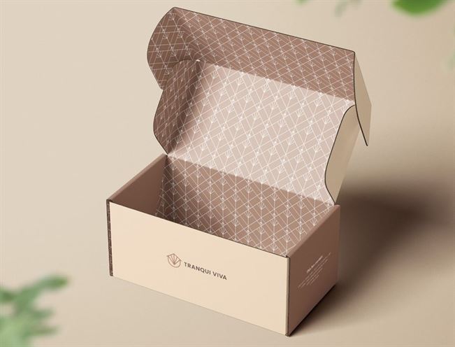 một ví dụ về bao bì các tông