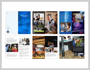 Thiết kế Brochure Cao đẳng - Tài liệu Học thuật Cao đẳng Connecticut