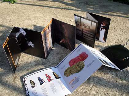 1656704134 318 8 mau thiet ke brochure gap Accordion tuyet voi