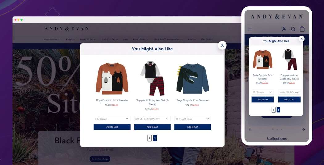 Screengrab về bản demo của ứng dụng Shopify Wiser