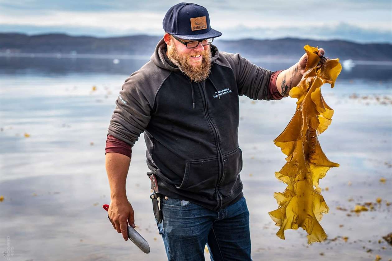 Bức ảnh Justin Clarke của UasaU Soap, đang mỉm cười với miếng rong biển lớn mà anh ấy mới kiếm được ở Nunavut, nơi sản xuất xà phòng UasaU. 
