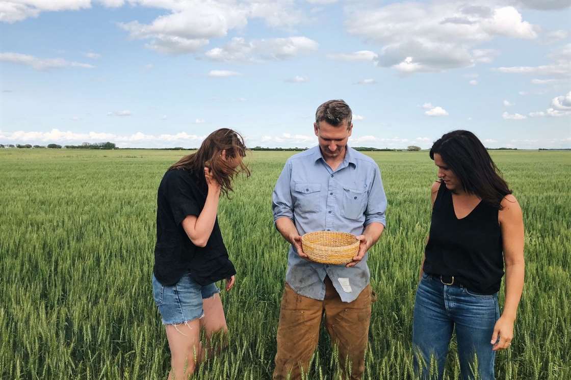 Janna và Shira kiểm tra đậu lăng Pháp hữu cơ của Will trong trang trại của anh ấy ở Saskatchewan, Canada.