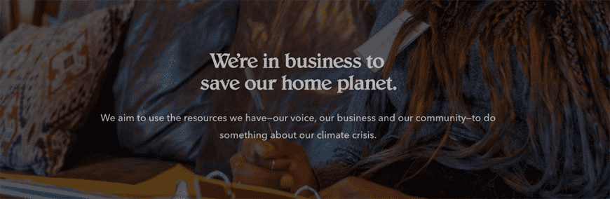 Một hình ảnh từ trang web của Patagonia có nội dung: Chúng tôi đang kinh doanh để cứu hành tinh quê hương của chúng ta